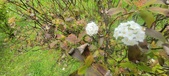 Enlarge photo 355