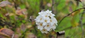 Enlarge photo 352