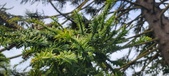Enlarge photo 349
