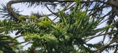 Enlarge photo 348