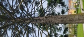 Enlarge photo 346