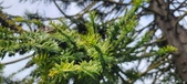Enlarge photo 345