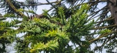 Enlarge photo 344