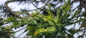 Enlarge photo 340