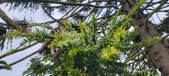 Enlarge photo 337