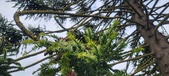 Enlarge photo 336