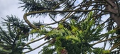 Enlarge photo 334