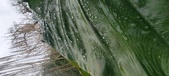 Enlarge photo 311