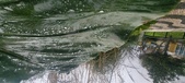 Enlarge photo 244