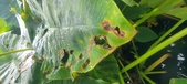 Enlarge photo 228