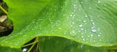 Enlarge photo 219
