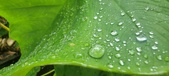 Enlarge photo 217