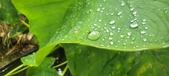 Enlarge photo 282