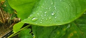 Enlarge photo 213