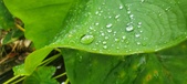 Enlarge photo 280