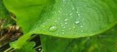 Enlarge photo 211
