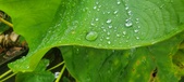 Enlarge photo 276