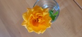Enlarge photo 558