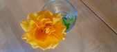 Enlarge photo 553