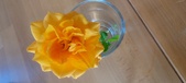 Enlarge photo 552