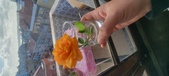 Enlarge photo 549