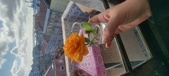 Enlarge photo 548
