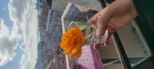 Enlarge photo 547
