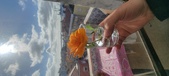 Enlarge photo 546