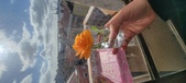 Enlarge photo 545