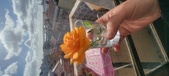 Enlarge photo 544