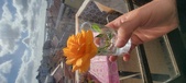 Enlarge photo 543