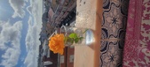 Enlarge photo 542