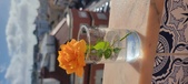 Enlarge photo 541