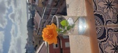 Enlarge photo 540