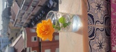 Enlarge photo 539