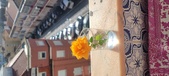 Enlarge photo 538