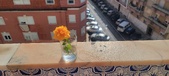 Enlarge photo 536