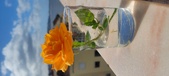 Enlarge photo 535