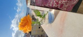 Enlarge photo 529