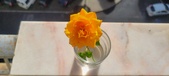 Enlarge photo 526