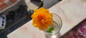 Enlarge photo 523