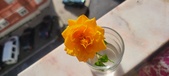 Enlarge photo 522