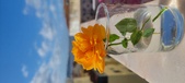 Enlarge photo 518