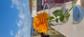 Enlarge photo 517