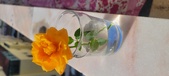 Enlarge photo 515