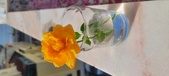 Enlarge photo 514