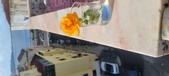 Enlarge photo 512
