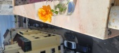 Enlarge photo 511