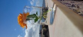 Enlarge photo 510