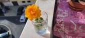 Enlarge photo 508